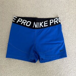 Nike Dri-FIT Blue Shorts